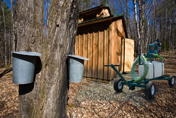 Maple syrup sap pump