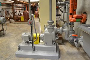 cranberry production pumps