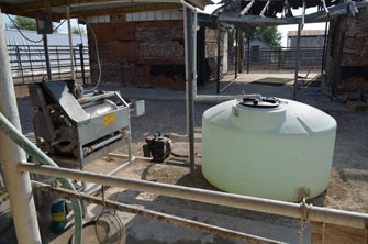 Manure and insecticide transfer system for cattle