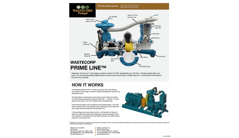 Prime Line Fact Sheet